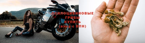 спайс Баксан